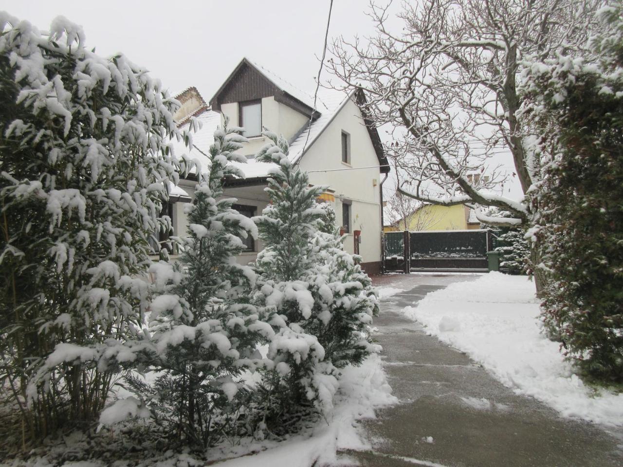 Sissi Residence With Free Parking Lot Budapeşte Dış mekan fotoğraf
